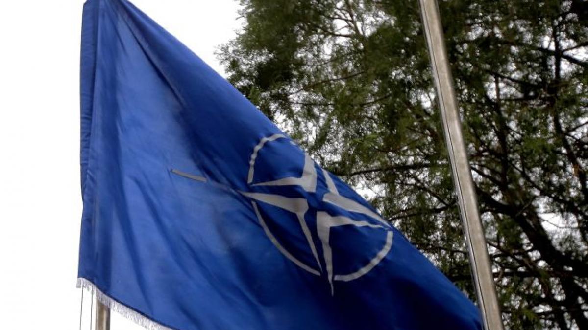 nato nu a fost implicata in loviturile aeriene asupra pozitiilor gruparii stat islamic din siria