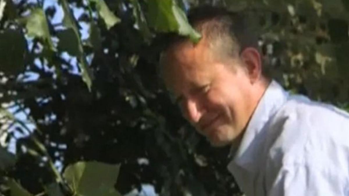 un maturator stradal a devenit milionar in euro