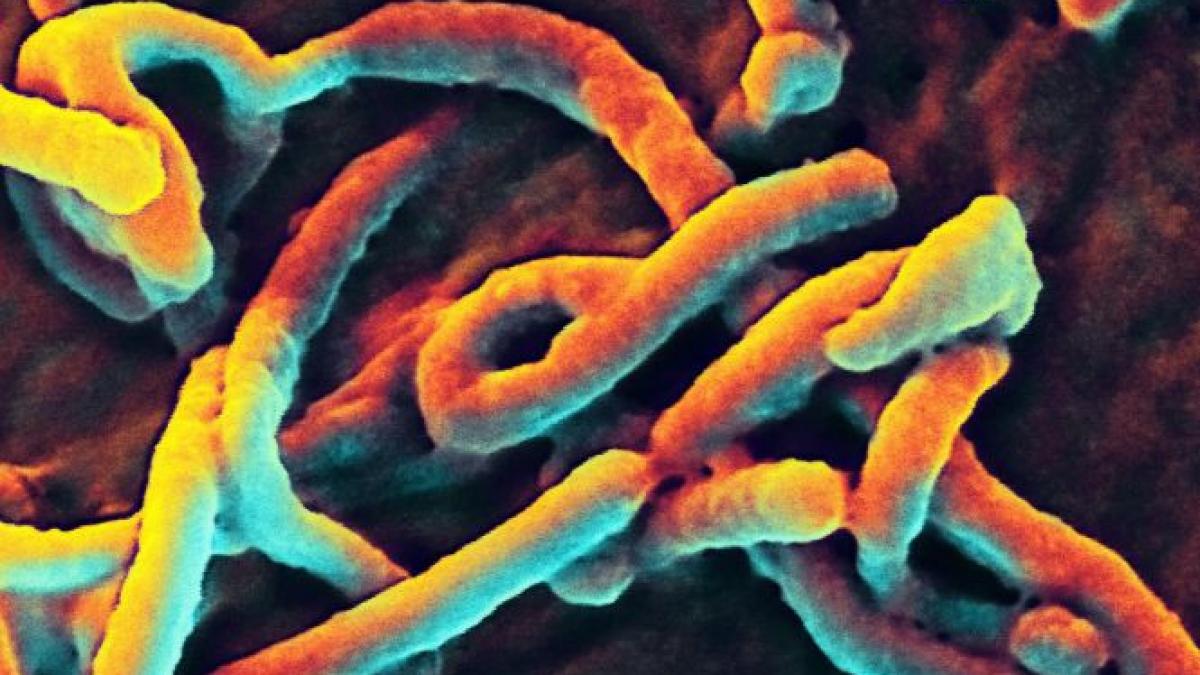 obama eforturile pentru contracararea epidemiei de ebola sunt prea lente