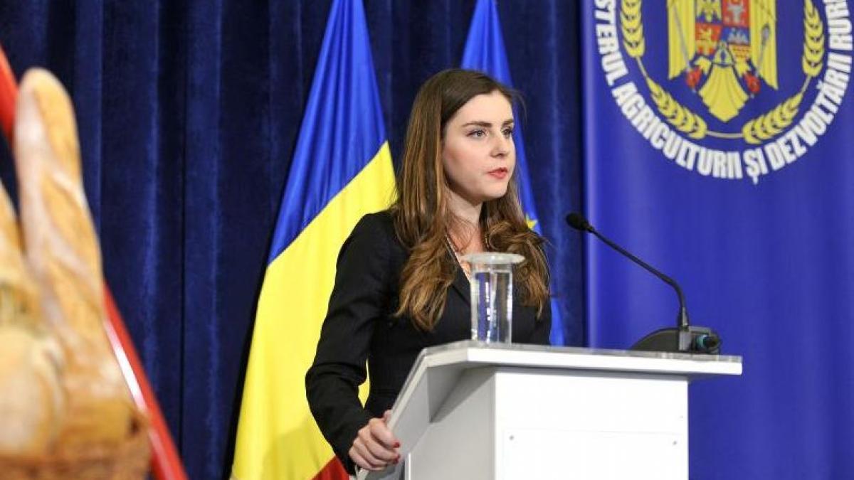 ioana petrescu cheama investitorii in romania impozitul pe constructii speciale va fi redus taxa pe