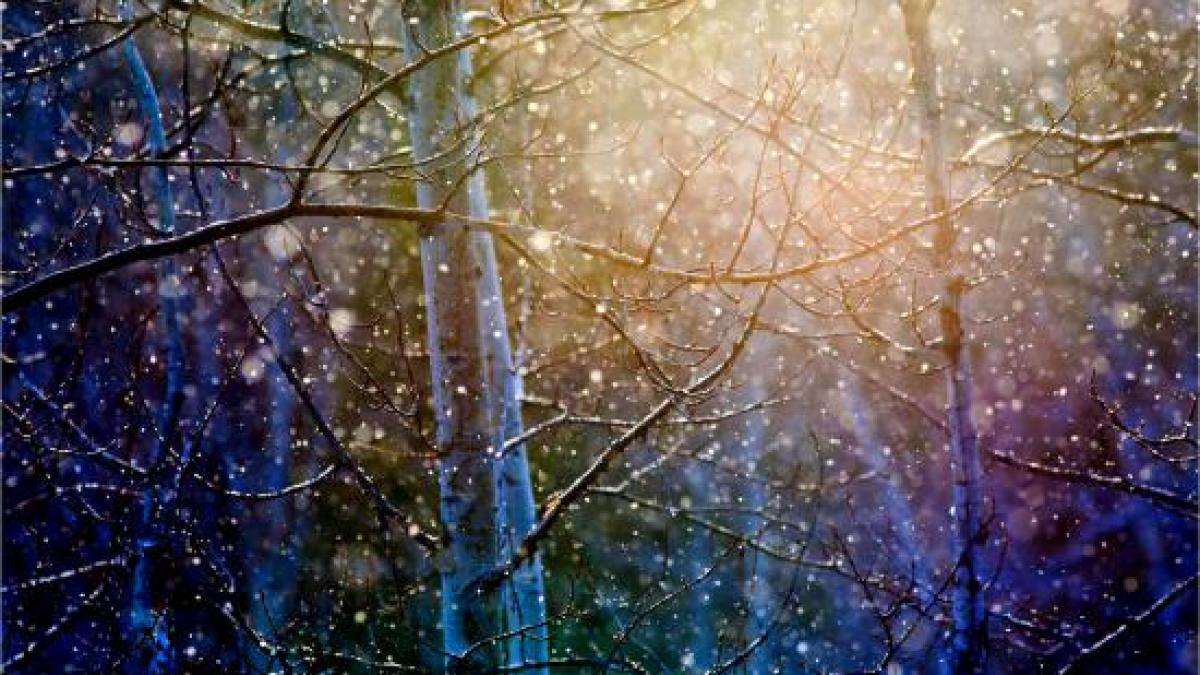 ploile revin dupa 1 octombrie vezi prognoza meteo pentru urmatoarele doua saptamani