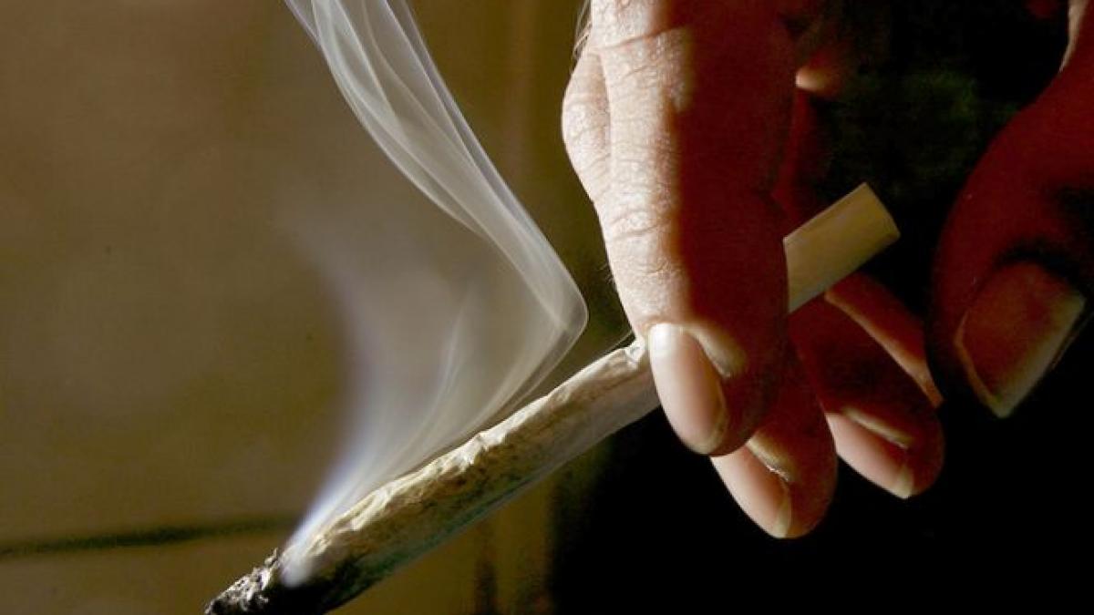 veterani de razboi tratati cu marijuana