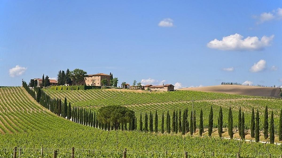 bucate si vinuri de calitate intr o regiune pitoreasca a toscanei