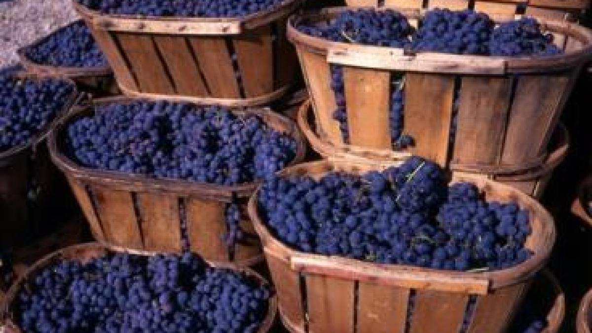 un viceprimar pdl prins beat la volan replica data politistilor este memorabila am baut doar un