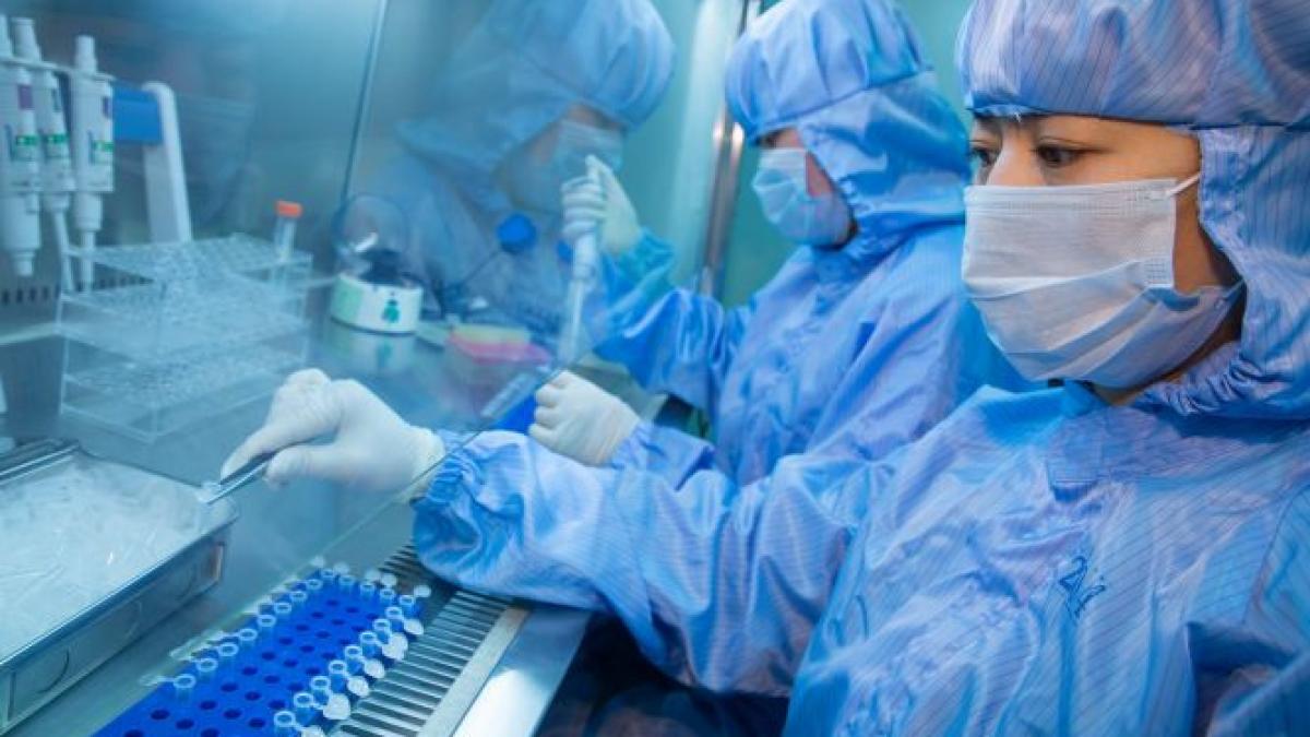 cercetatorii thailandezi au descoperit un nou tip de anticorp impotriva virusului ebola