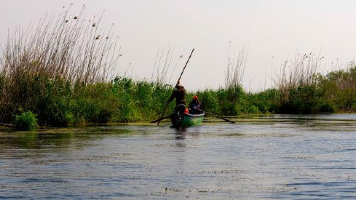 dunarea a atins joi la tulcea cota de atentie pana in prezent nicio autoritate nu a semnalat
