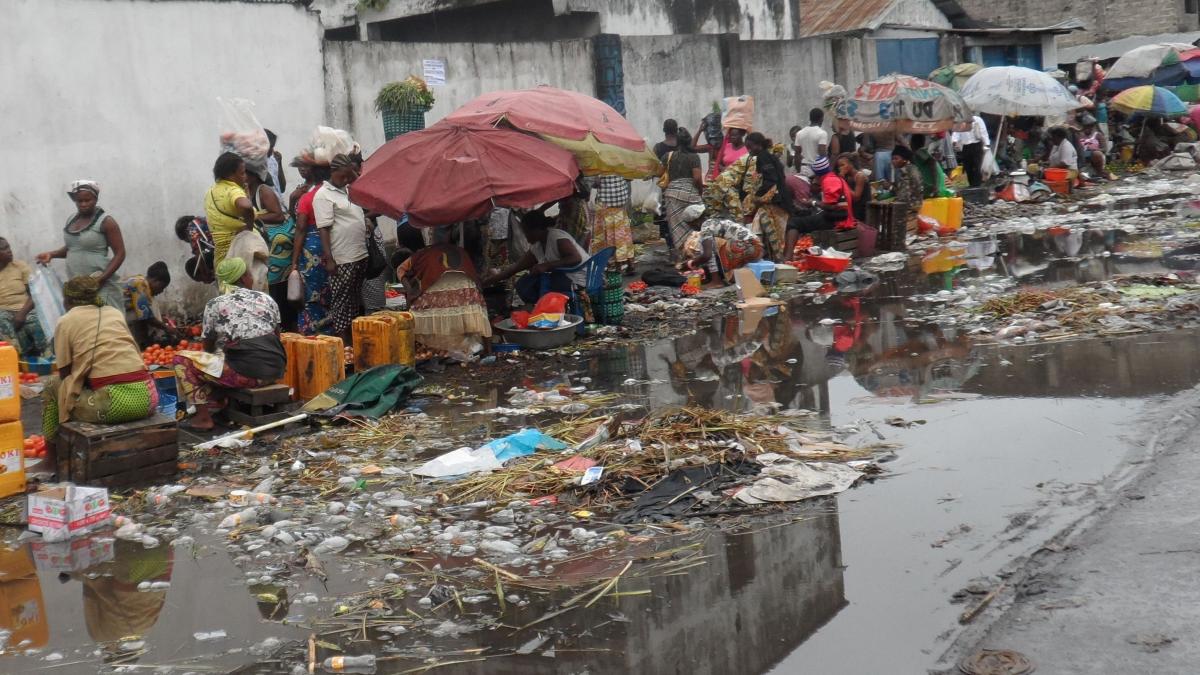 istoria genetica a hiv unde a debutat si cum s a propagat pandemia de sida