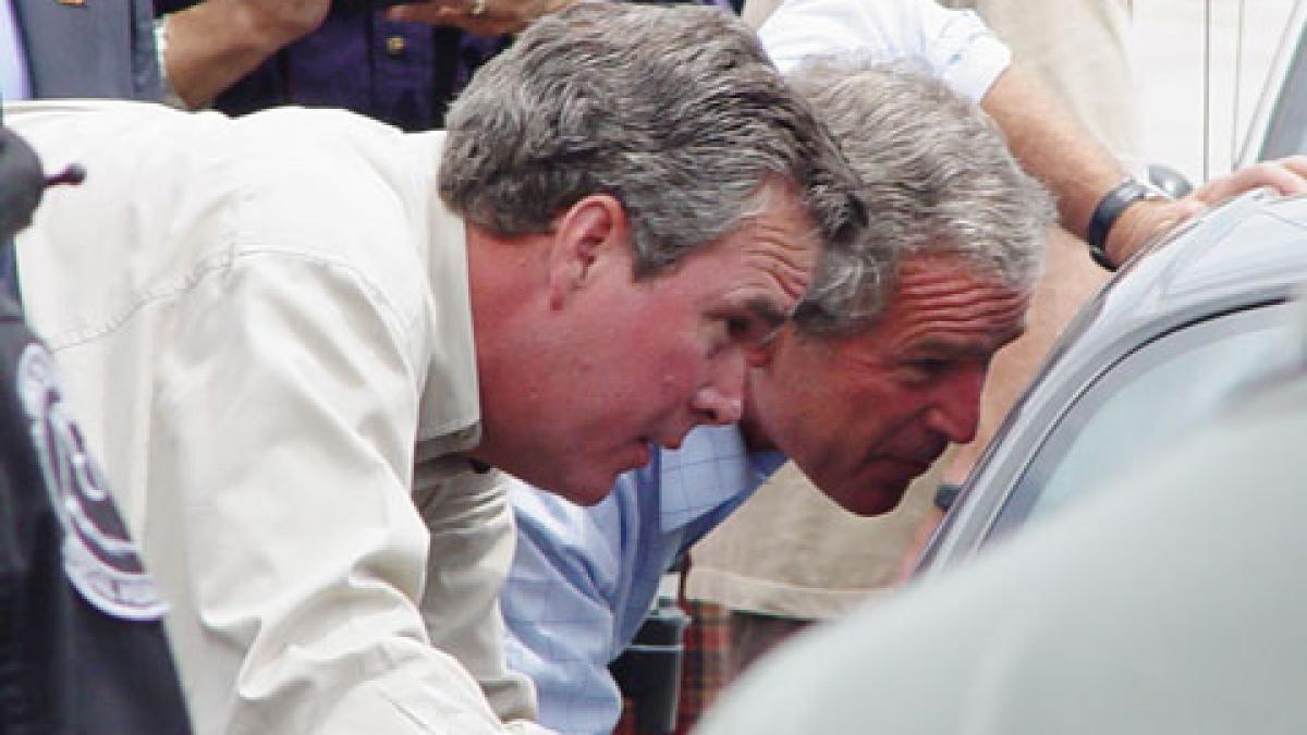 surpriza in america pentru fotoliul de presedinte fratele meu vrea sa candideze