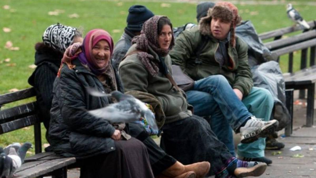 tiganii romani i au disperat pe britanici sunt atat de saraci incat nu au ce manca taie lebedele
