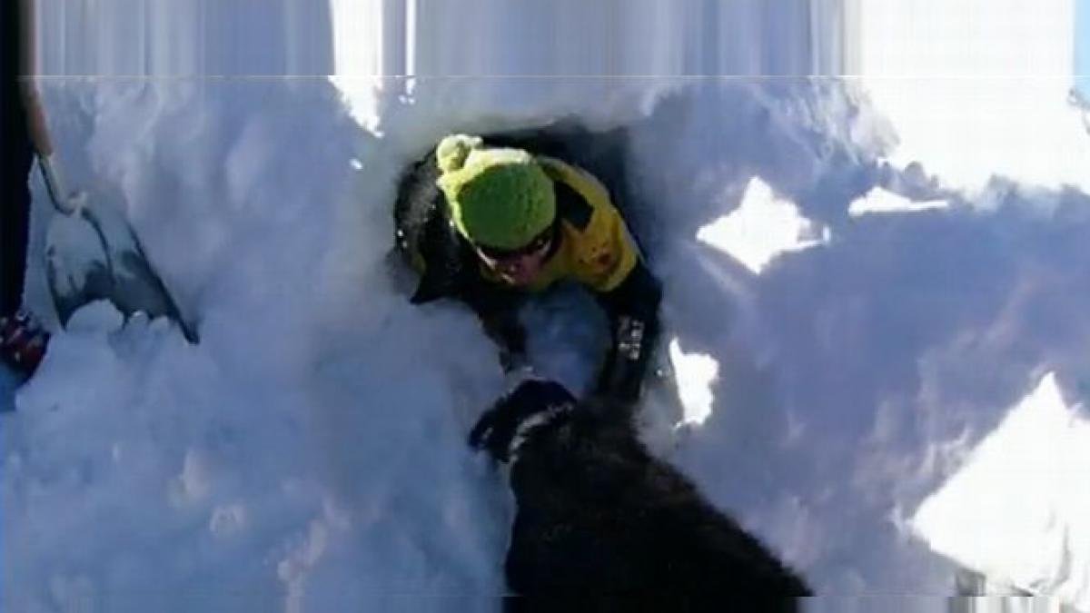 singurul caine din romania specializat in salvarea victimelor din avalansa