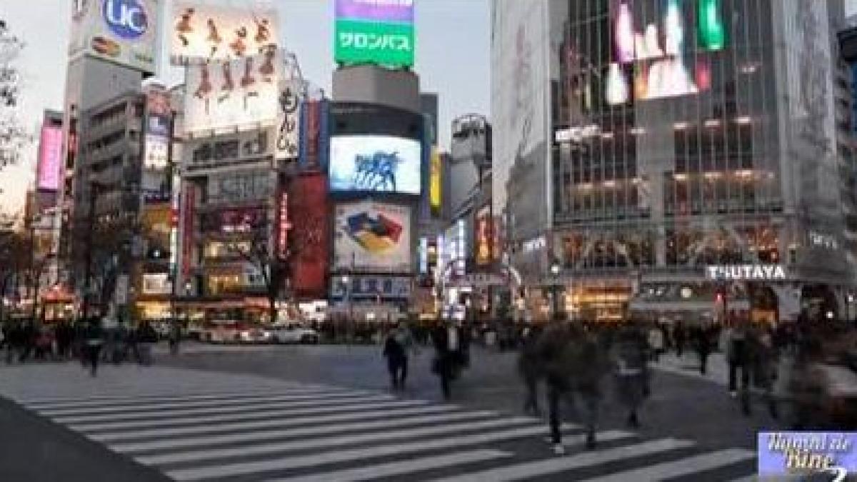 numai de bine metabolismul de la inamic la prieten