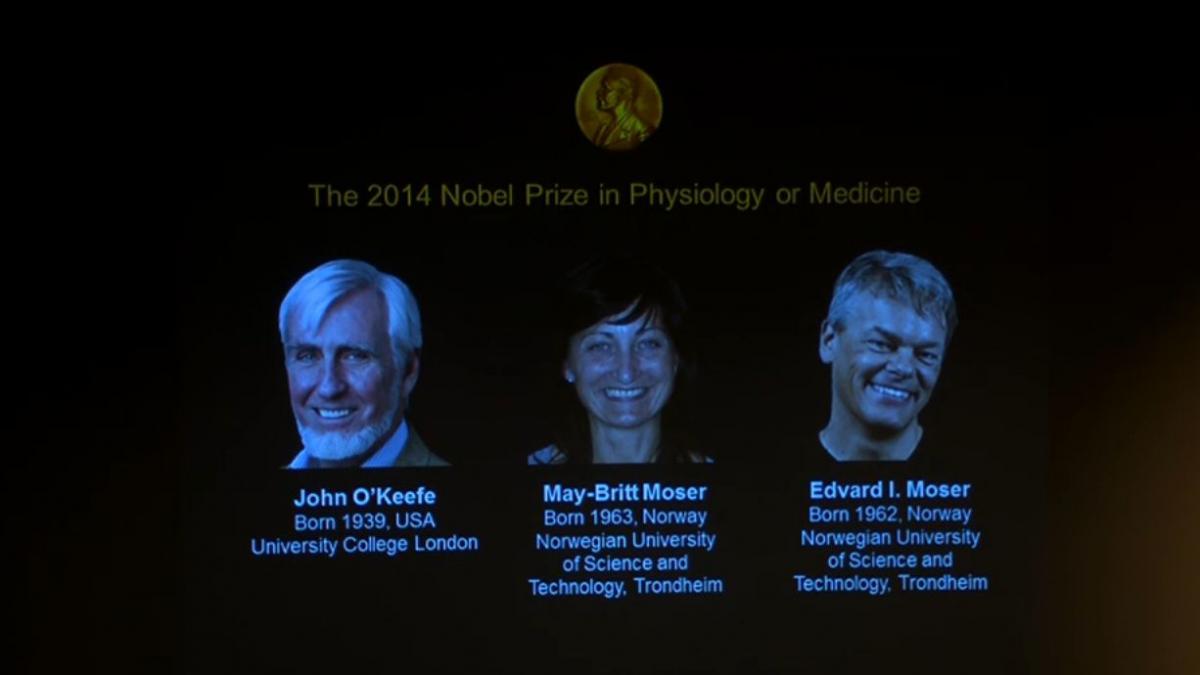 premiul nobel pentru fiziologie si medicina 2014 acordat cercetatorilor john o keefe may britt