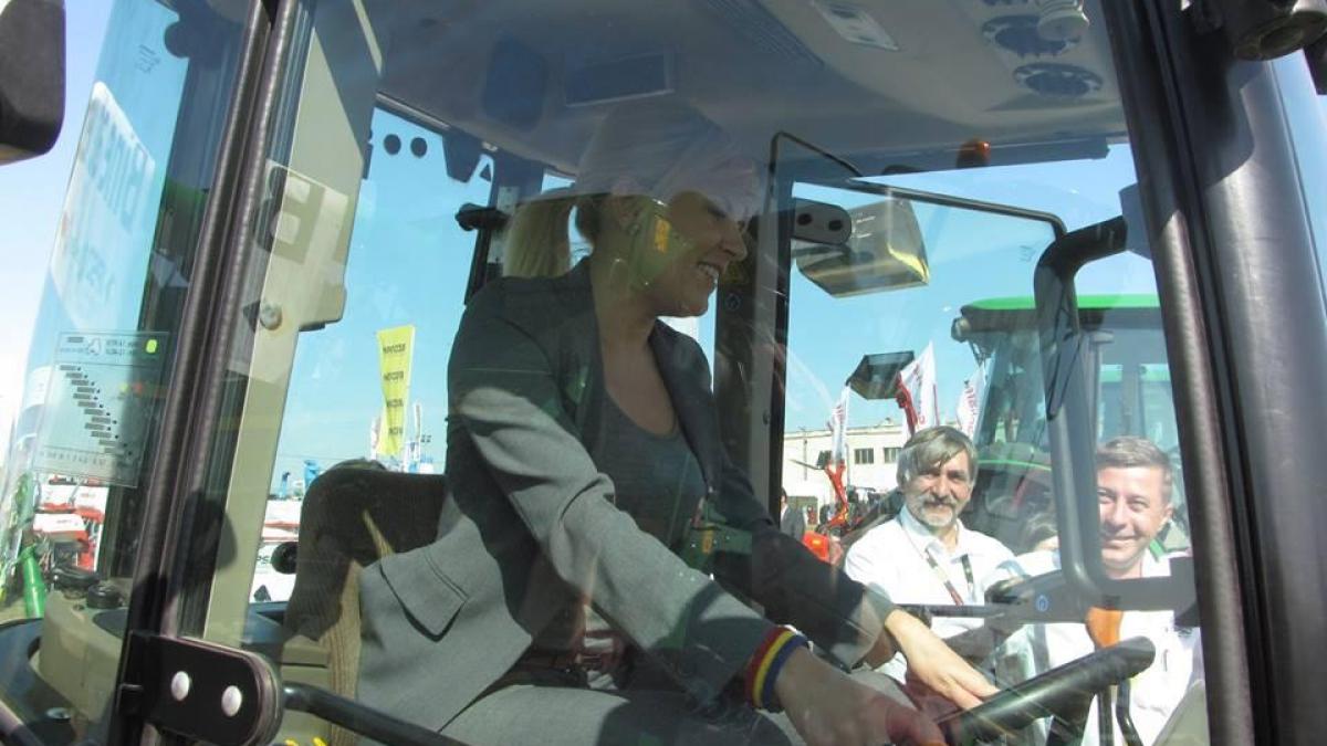 deziluzia optica musca la arat