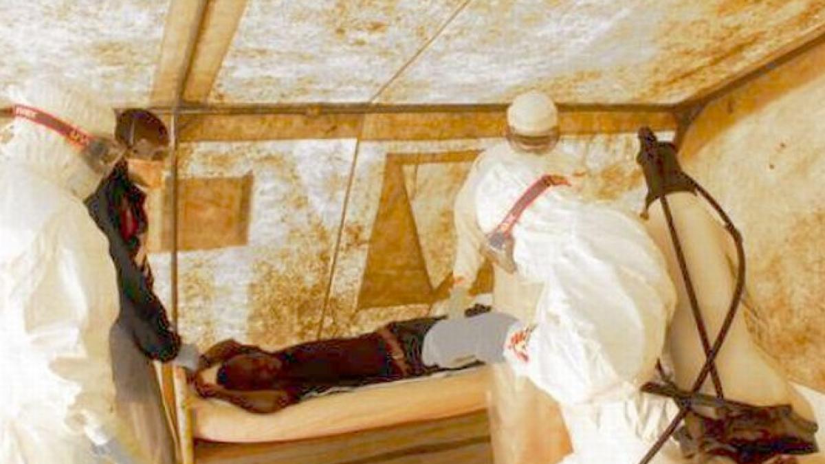 cel mai recent bilant al epidemiei de ebola aproape 3 900 de morti in africa de vest