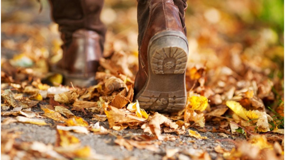 din aceste motive ne imbolnavim toamna