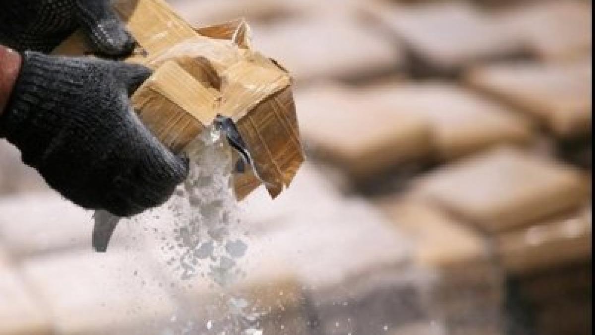 captura impresionanta de droguri in cea mai puternica tara a europei valoarea ajunge la 50 de