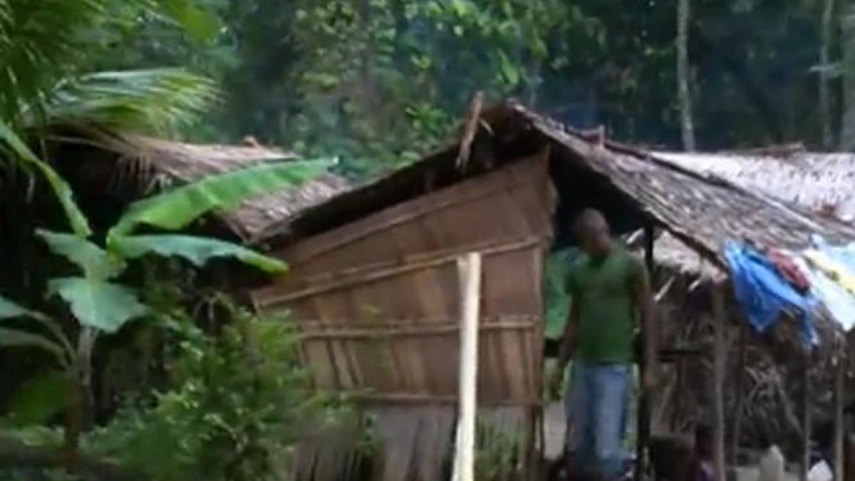 imagini cu un puternic impact emotional ebola imprastie moarte in jungla africana