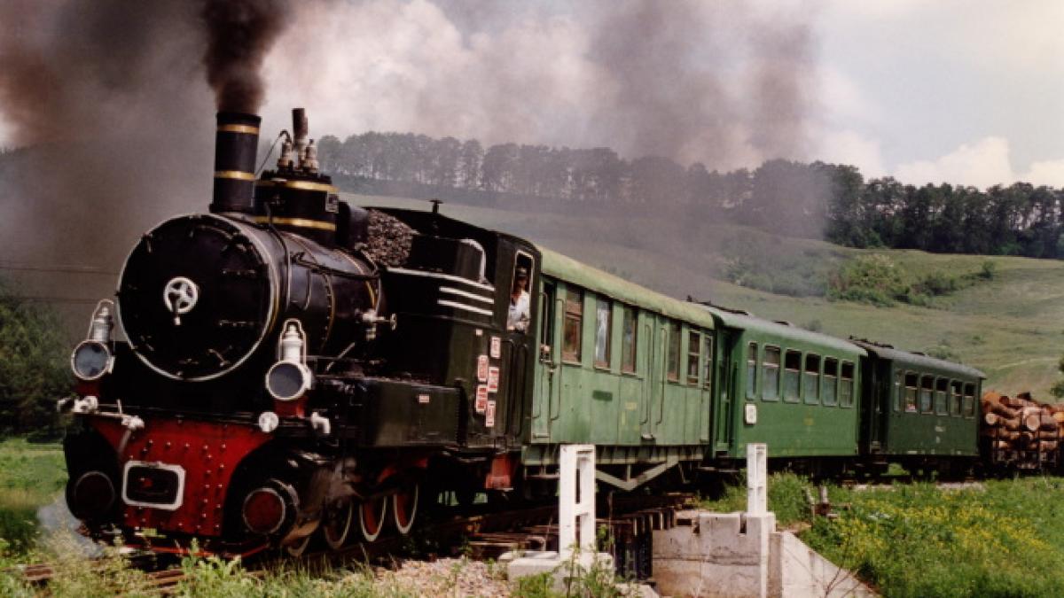 plimbarea cu mocanita traseu cu obstacole doi soferi care si au lasat bunul simt acasa si au parcat