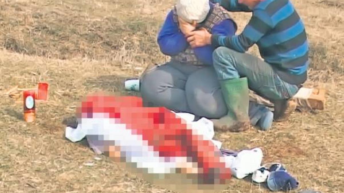 trimis in judecata dupa ce cainele sau a omorat un copil in 2012 de ce fapta se face vinovat