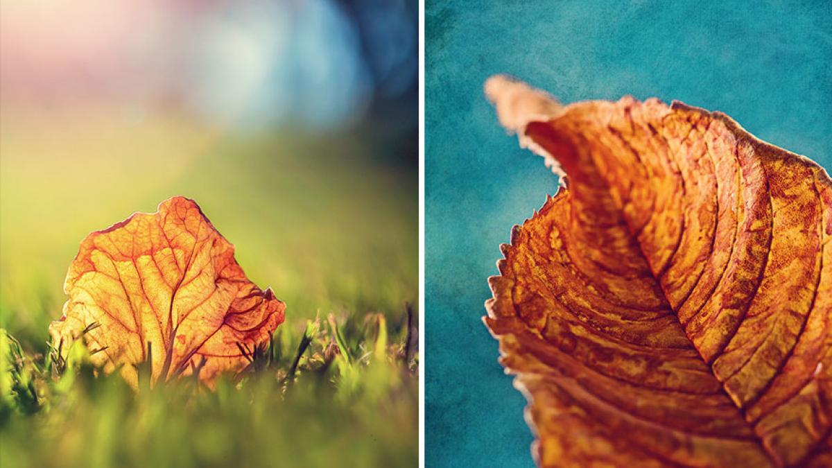 vreme extrema meteorologii au anuntat un val de canicula