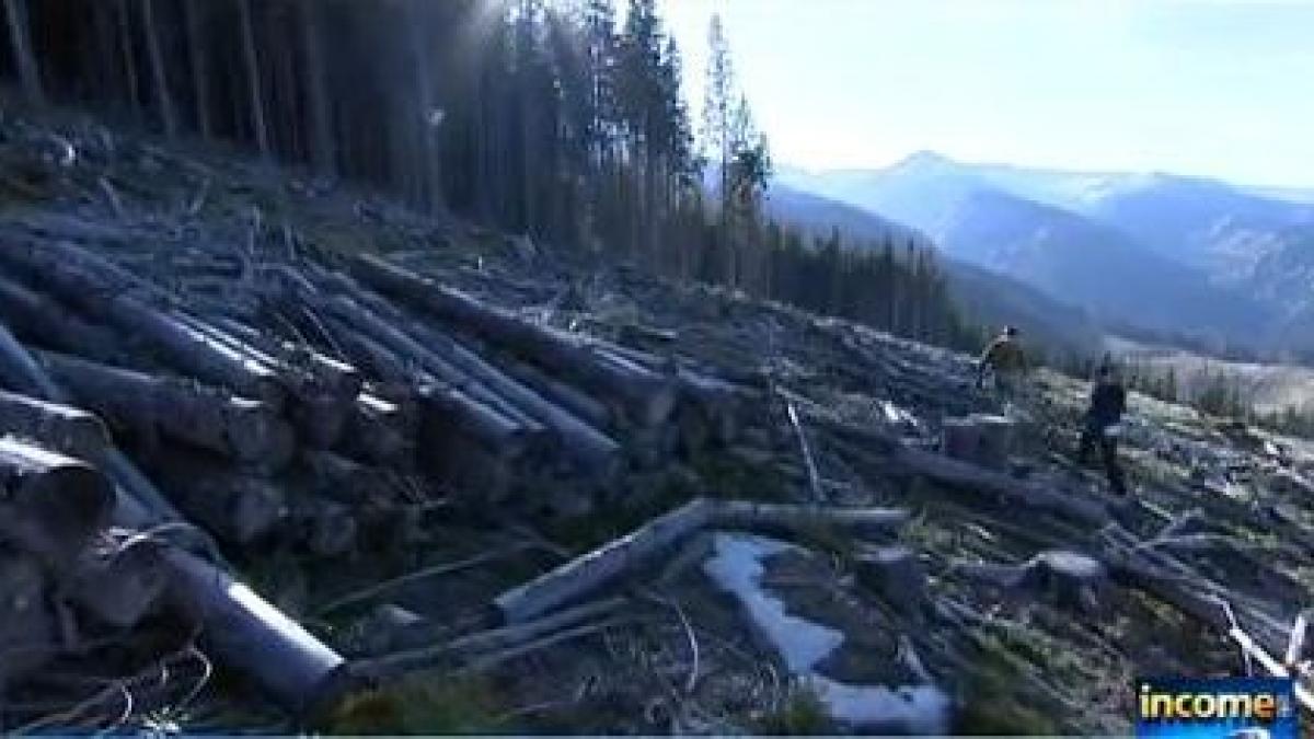 income 25 de ani de jaf