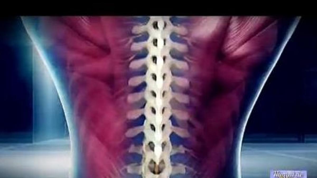 numai de bine tratament pentru durerile de spate