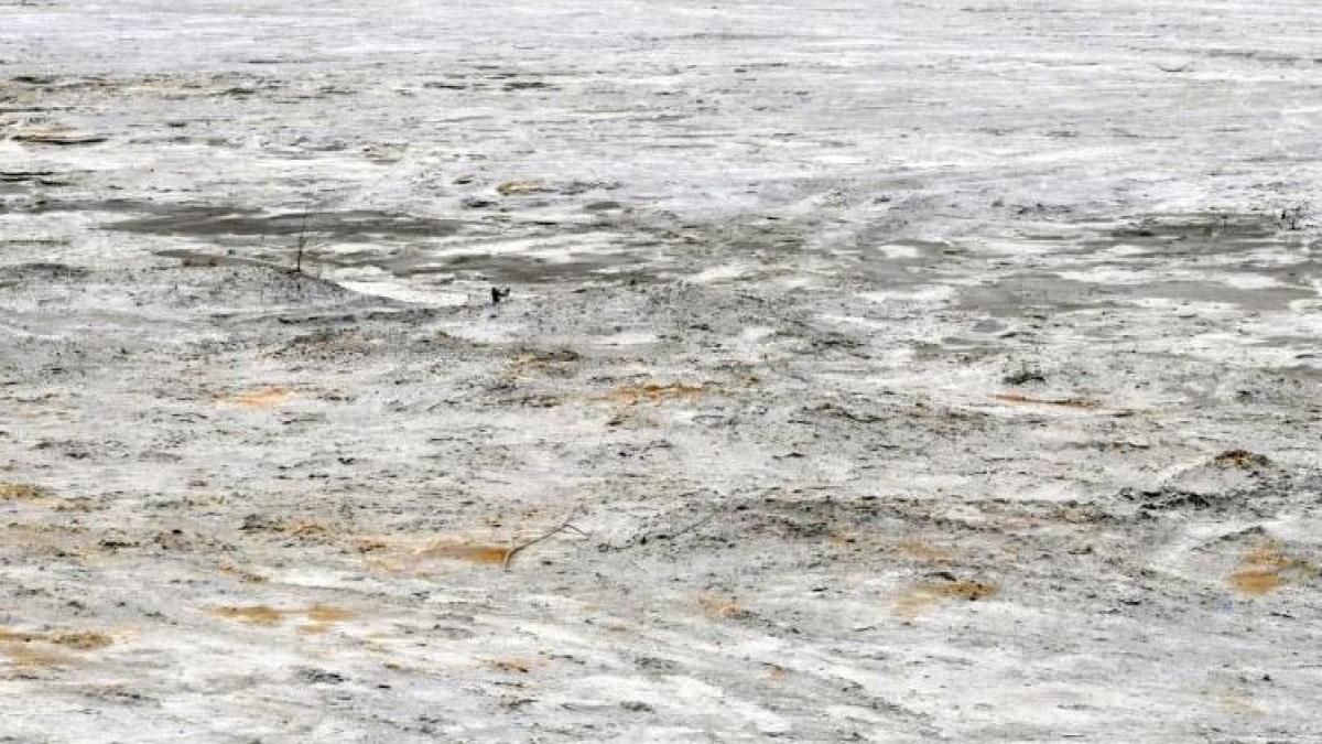 poluarea arunca romania intr un proces international