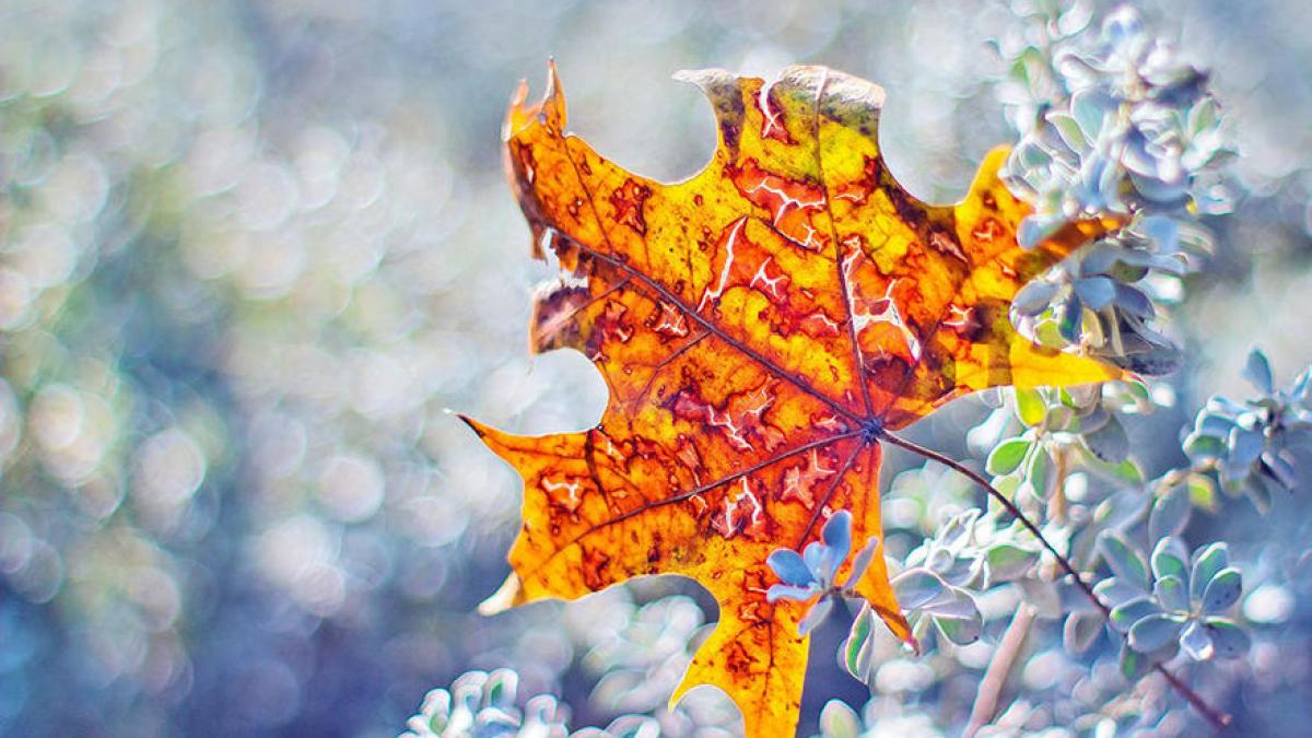 temperaturi de 10 grade in weekend cu ninsori si lapovita prognoza meteo pentru urmatoarea perioada