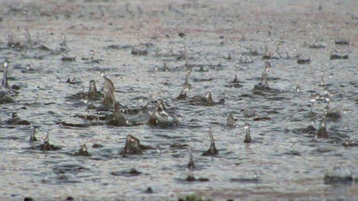 cod rosu si cod portocaliu de vreme rea la vecinii bulgari