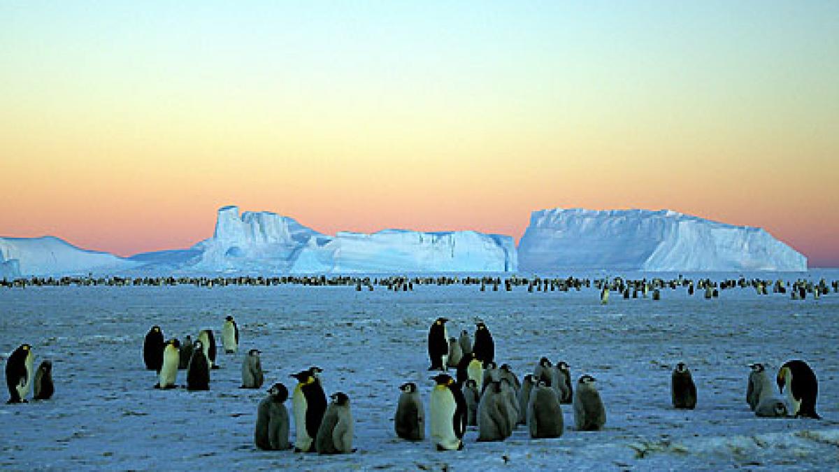 ce au gasit sub gheata din antarctica acum este in cel mai putin vizitat muzeu din lume