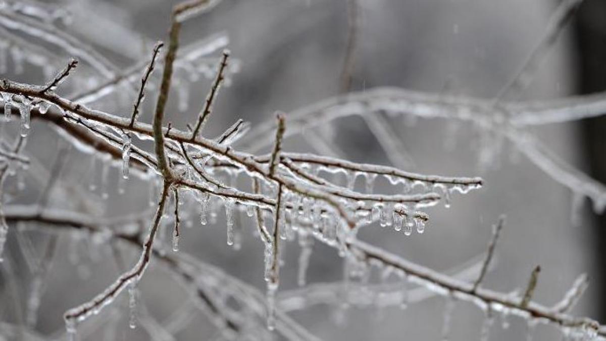 cod galben de ploi si ninsori in 11 judete din tara
