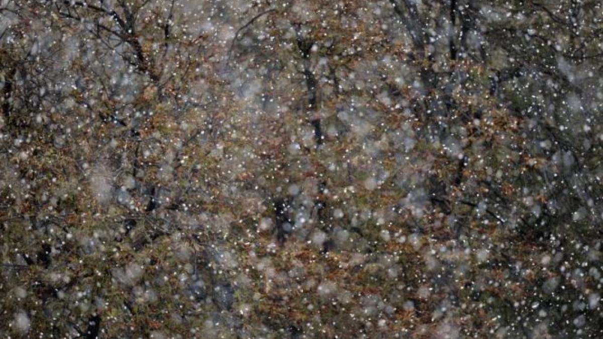 cnadnr soferii trebuie sa si echipeze masinile de iarna si adapteze viteza la conditiile meteo