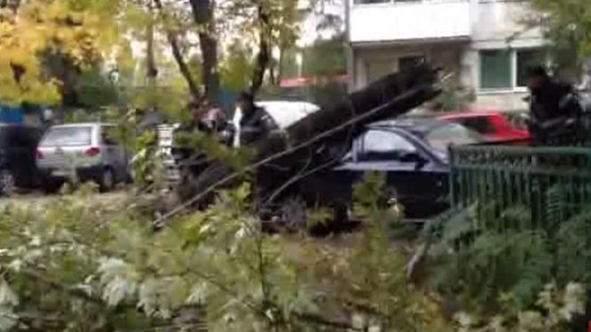 codul galben de vant extins in bucuresti si alte 14 judete pana la ora 14