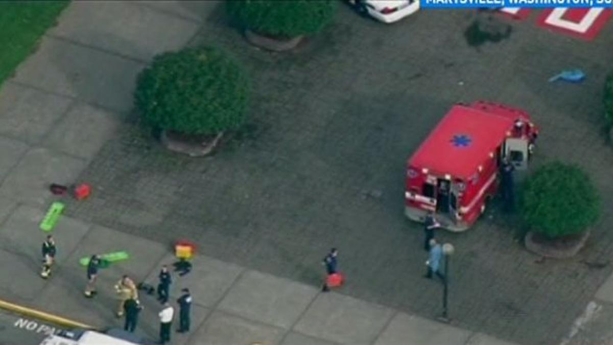 noi atacuri armate au facut victime in statele unite