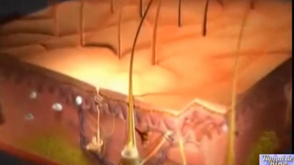 numai de bine cum stimulam genele longevitatii