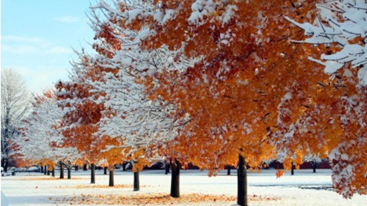 informare meteo de ninsoare si lapovita vezi care sunt zonele vizate
