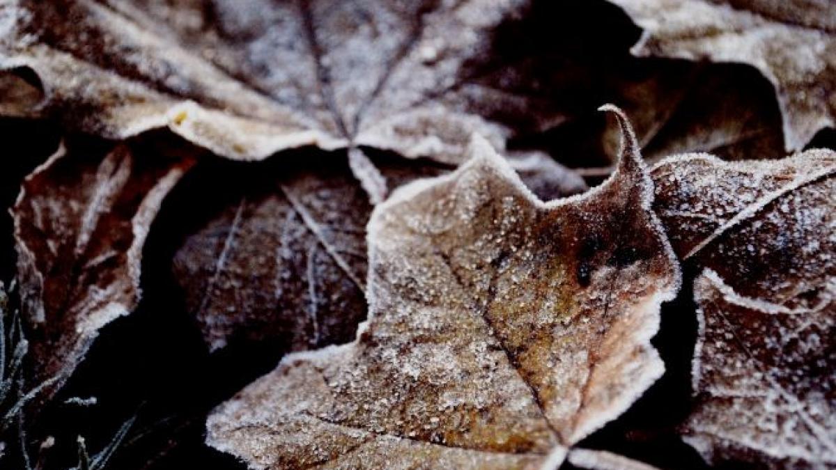 vreme mai rece decat normalul perioadei prognoza meteo pentru miercuri si joi