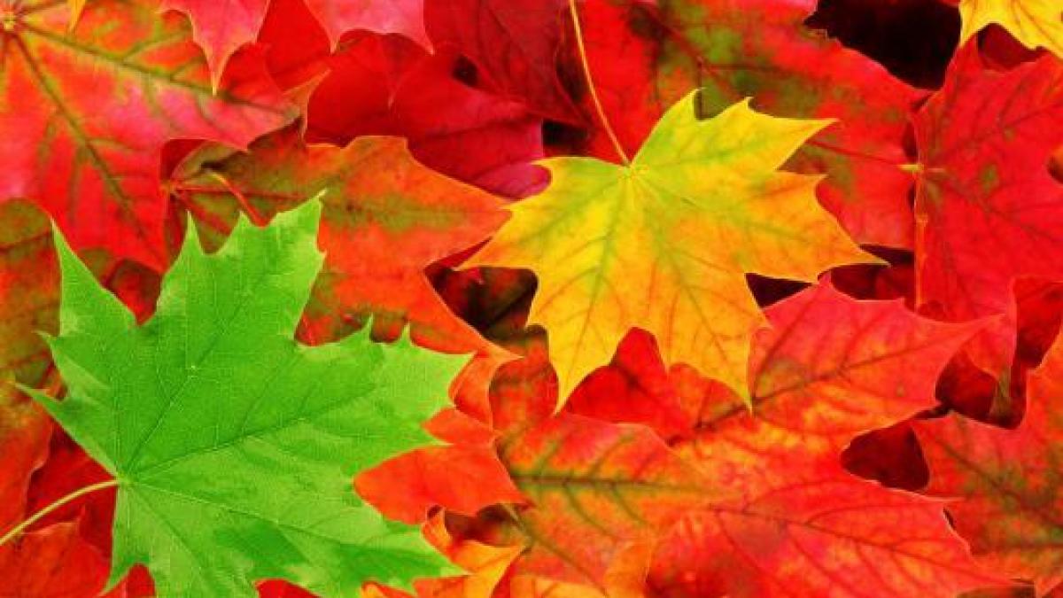 vremea se va incalzi usor vezi prognoza meteo pentru joi si vineri in tara si in bucuresti