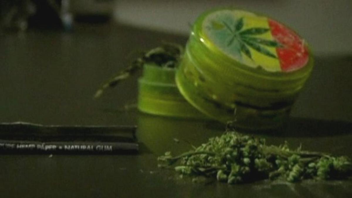 chile prima tara din america latina care va cultiva marijuana in scopuri medicinale