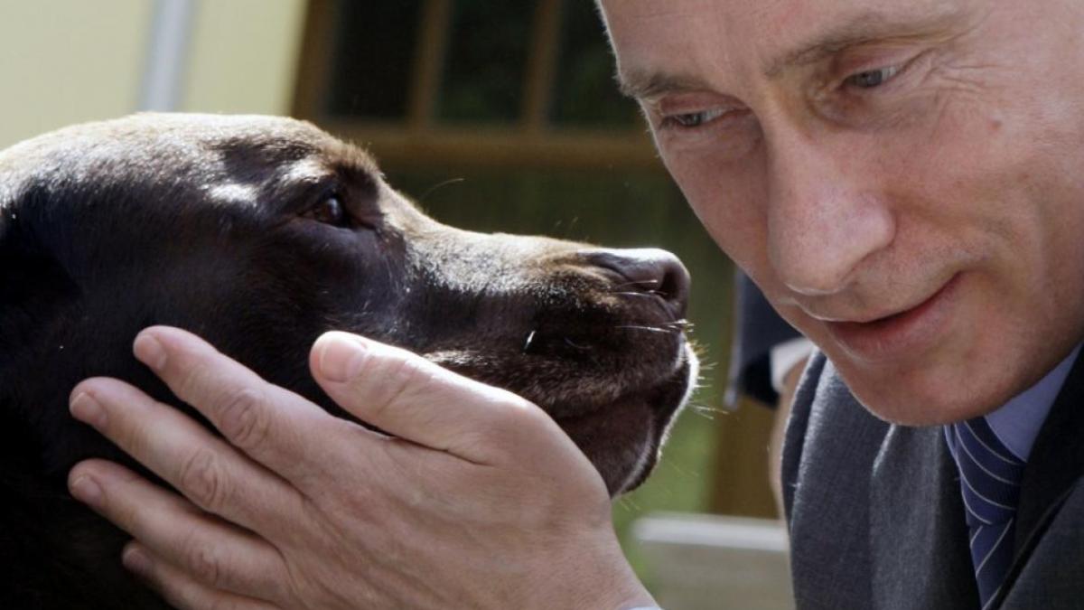 cum il vad rusii pe vladimir putin occidentul are motivatii ascunse vrea sa destabilizeze rusia