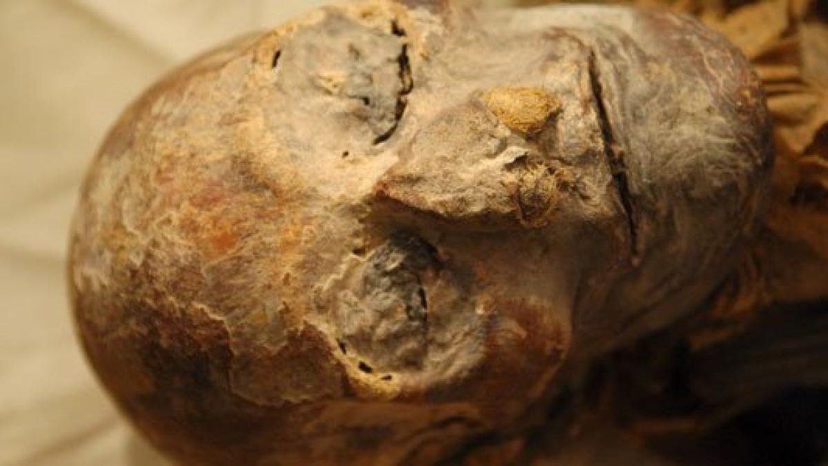 descoperire fabuloasa in egipt ce a gasit un barbat sub casa lui e vechi de 3 milenii