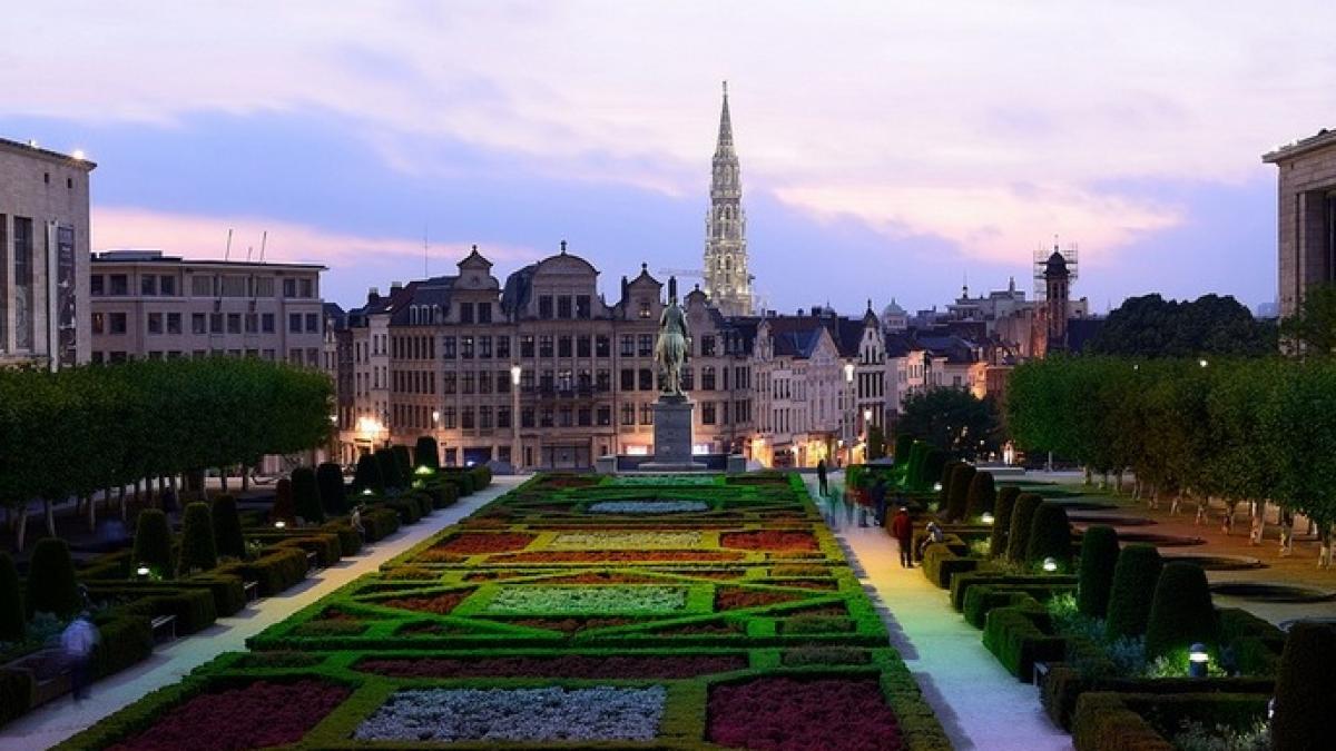 revelion de vis in vestul europei