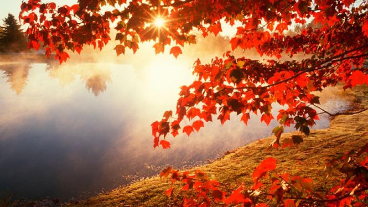 toamna cu aproape 20 de grade vezi prognoza meteo pentru urmatoarele doua saptamani