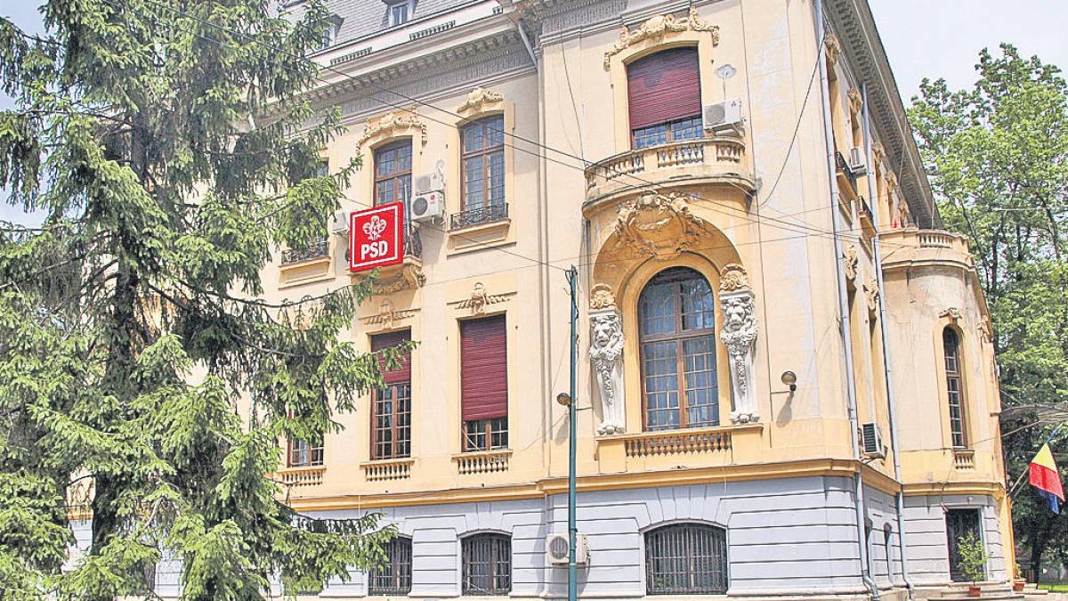 liderii psd din teritoriu trasi la raspundere pentru rezultatele de duminica dragnea ii asteapta la