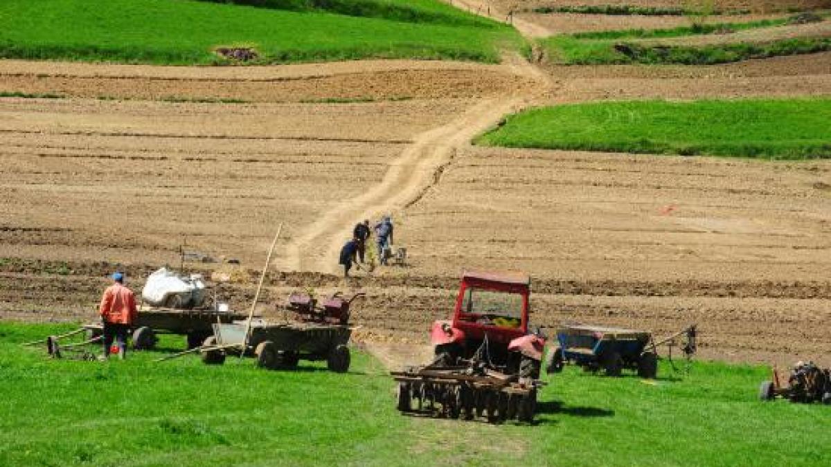 cat costa pamantul romaniei despagubiri demne de monte carlo pentru terenuri agricole in bistrita