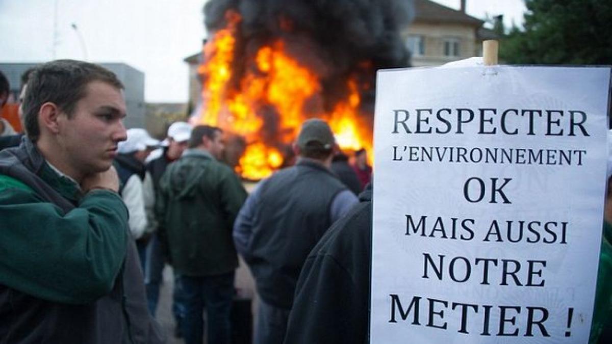 merde fermierii francezi au aruncat tone de balegar in fata cladirilor administrative