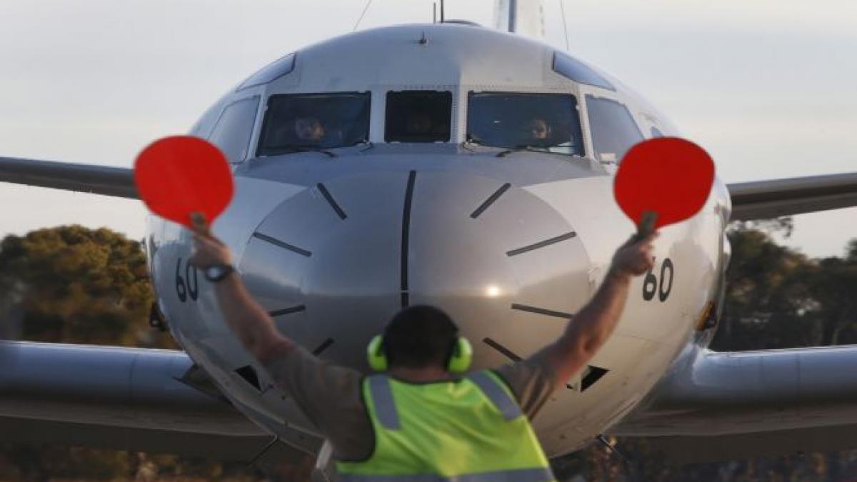 un avion de pasageri a lovit un bivol aflat pe pista spicejet a suspendat toate zborurile pe acel