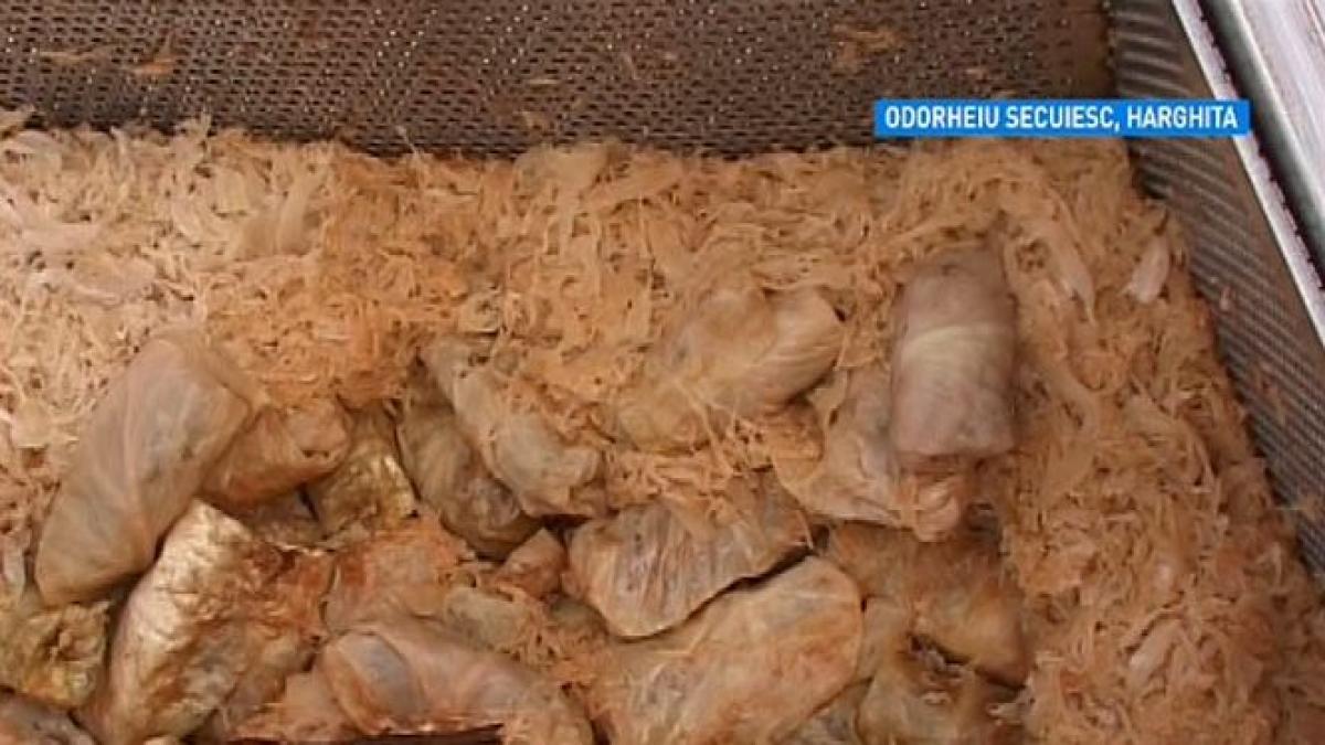 sarmaua romaneasca in cartea recordurilor aproape 3 000 kg din traditionalul preparat au fost