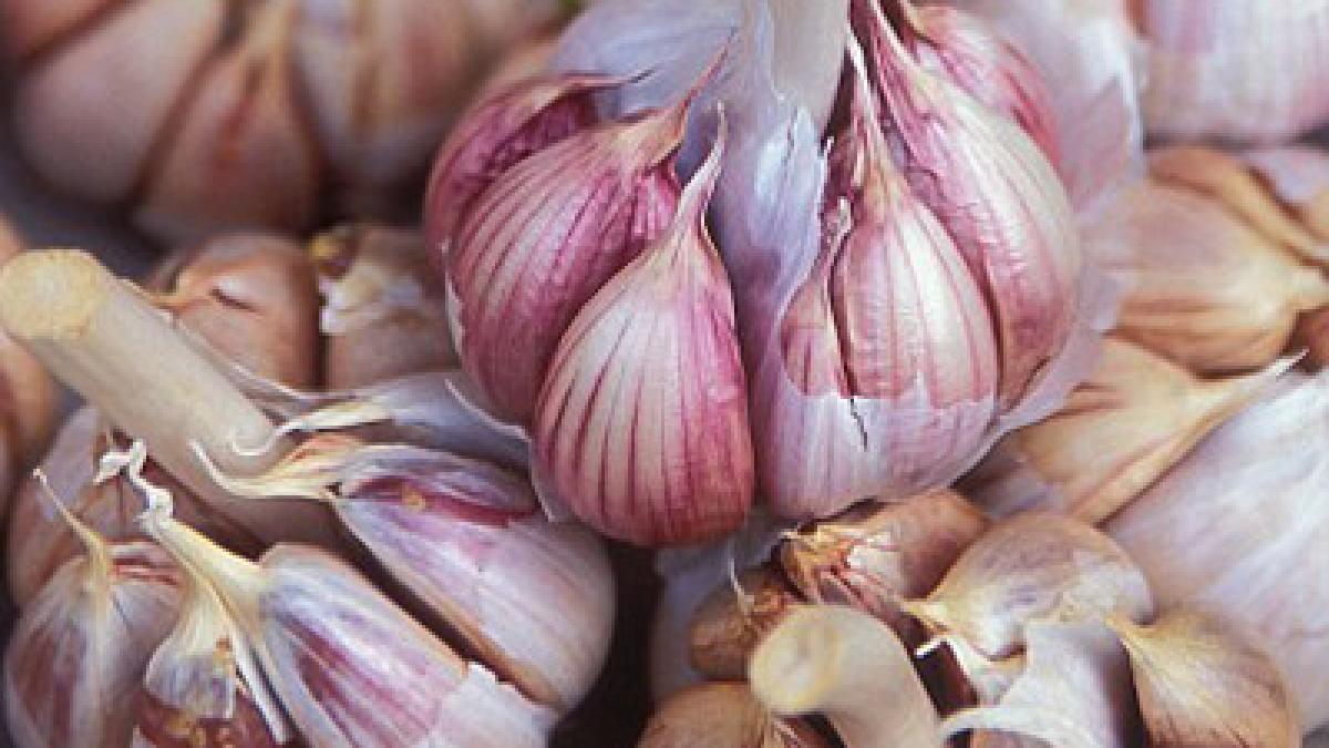 minunile usturoiului ce boli previne de ce este benefic si cum trebuie consumat