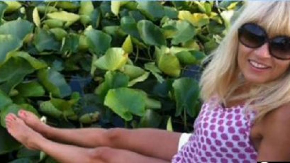 deziluzi optica broscuta oac